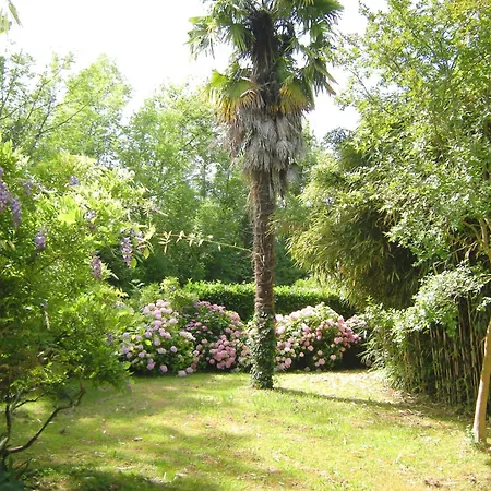 Moulin D'ibure, Maison Σπίτι διακοπών Bardos