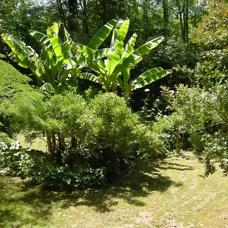 Moulin D'ibure, Maison Tatil Evi